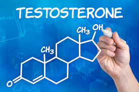testosterone-biofunctional-med-2